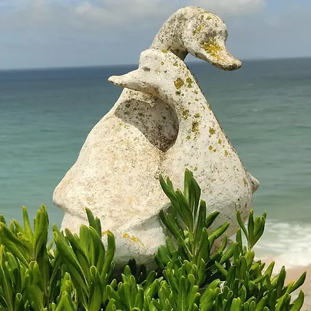 شقة Ribeiro House *