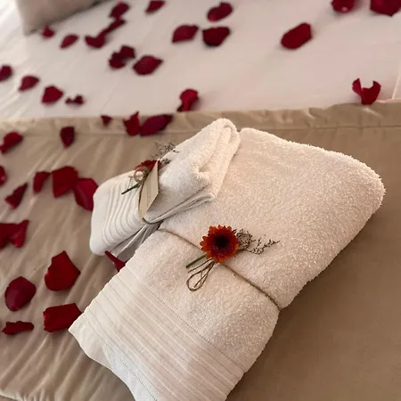 شقة Ribeiro House *