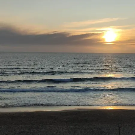 Ribeiro House 아파트 *