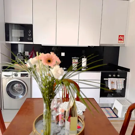 Apartmán Ribeiro House