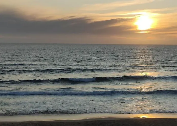 Ribeiro House Apartament *