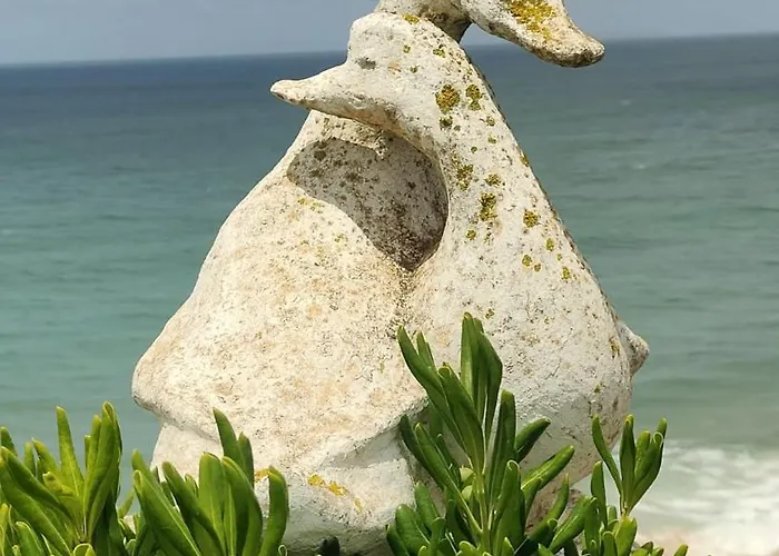 Apartament Ribeiro House *